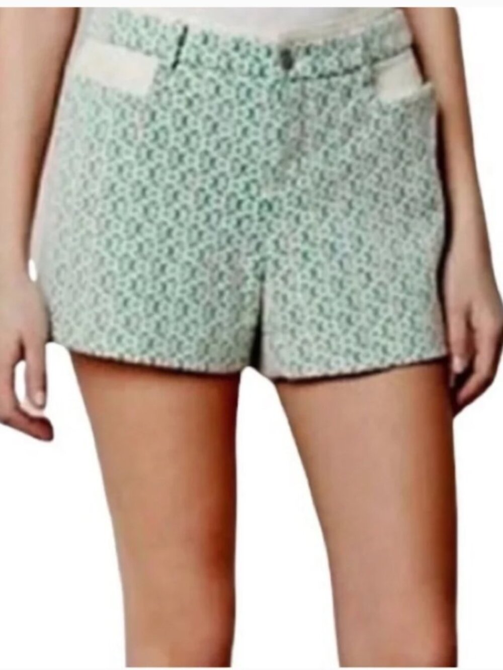 Anthropologie Cartonnier Green and White Lace Shorts Size 12